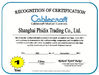 China Phidix Motion Controls (Shanghai) Co., Ltd. certification