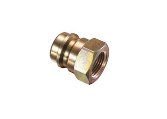 Hydraulic 316L Stainless Steel Quick Coupling